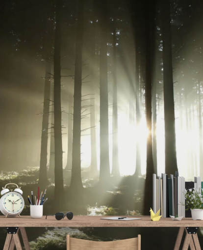 Light and Dark Forest Wall Mural Wallpaper Light and Dark Forest Wall Mural Wallpaper