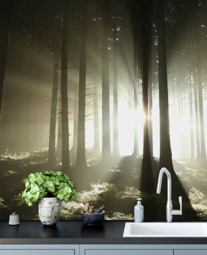 Papel pintado Bosque claro y oscuro