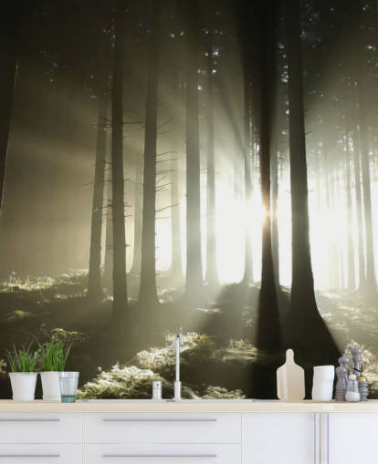 Heller und dunkler Wald Fototapete