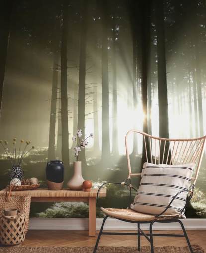 Ljus och mörk skog väggmålning Bakgrund Ljus och mörk skog väggmålning Bakgrund