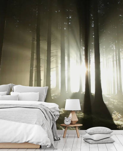 Light and Dark Forest Wall Mural Wallpaper