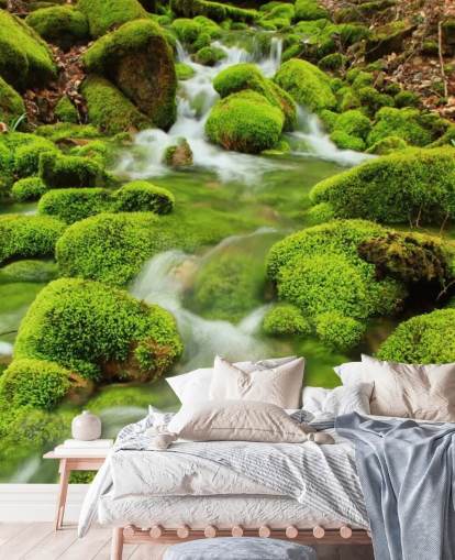 Mossy Bakgrunn Nærbilde Veggmaleri