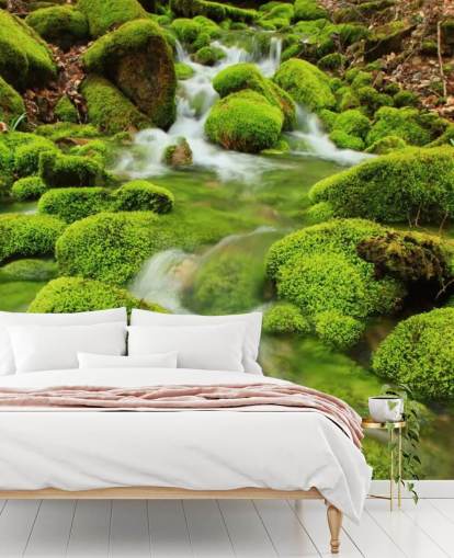 Mossy Wallpaper Close Up Wall Mural Mossy Wallpaper Close Up Wall Mural
