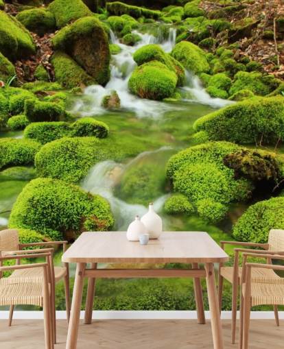 Papel De Parede Mossy Close Up Wall Mural