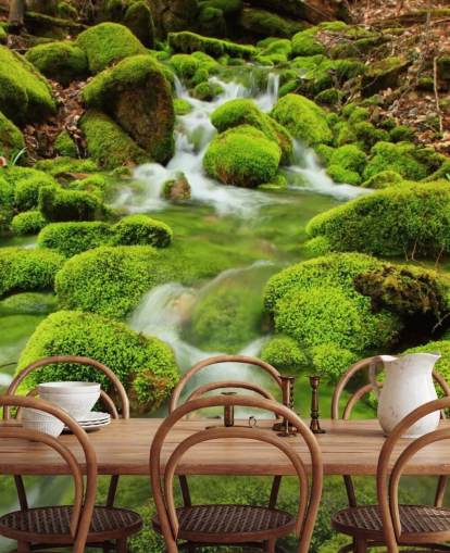 Papel De Parede Mossy Close Up Wall Mural