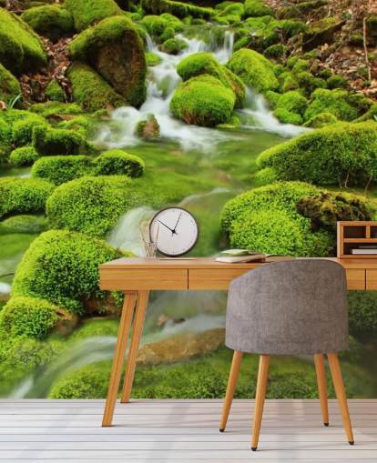 Papier Peint Fresque Gros Plan Moussu