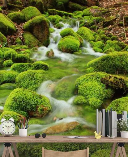 Papel De Parede Mossy Close Up Wall Mural