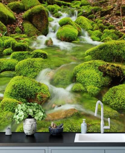 Mossy Bakgrunn Nærbilde Veggmaleri