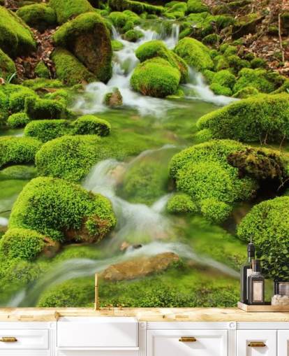 Mossy Wallpaper Close Up Wall Mural