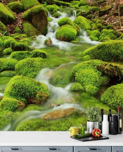 Mural de pared Mossy Wallpaper