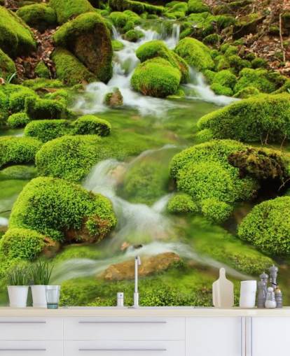 Mossy Taustakuva Lähikuva Seinämaalaus