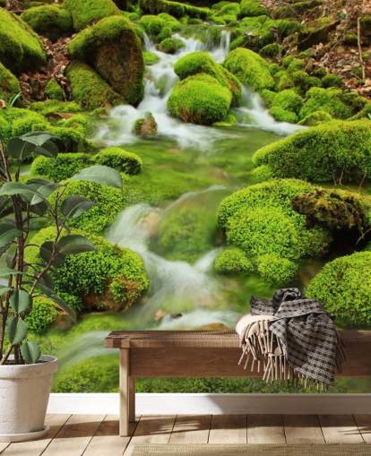 Mossy Wallpaper Close Up Wall Mural
