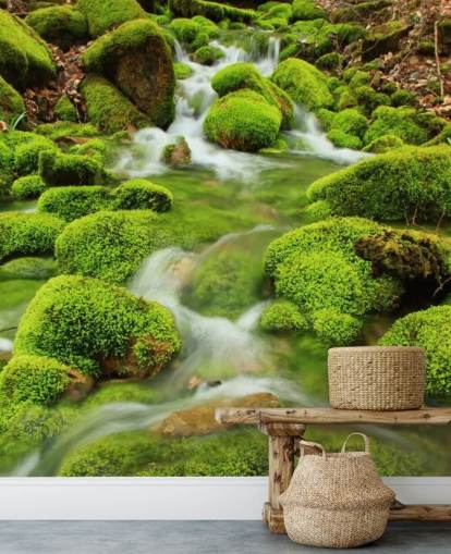 Papel De Parede Mossy Close Up Wall Mural
