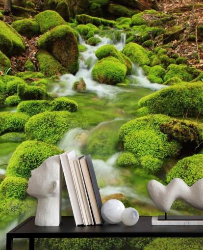 Mossy Wallpaper close-up muurschildering Mossy Wallpaper close-up muurschildering