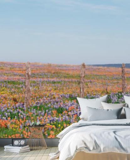 meadow field with orange, purple and yellow flowers wallpaper