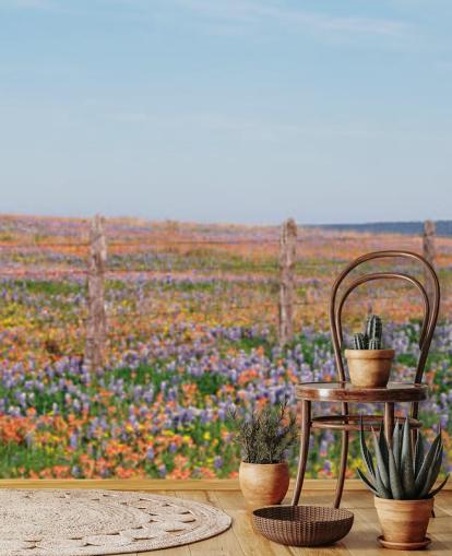campo di prato con carta da parati fiori arancioni, viola e gialli