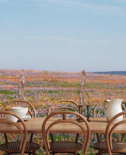 meadow field with orange, purple and yellow flowers wallpaper