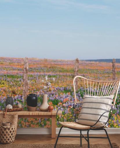 meadow field with orange, purple and yellow flowers wallpaper