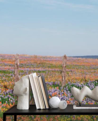 meadow field with orange, purple and yellow flowers wallpaper meadow field with orange, purple and yellow flowers wallpaper