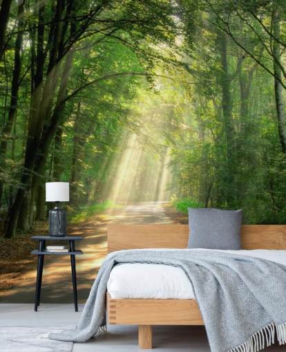 sunlit forest path wallpaper