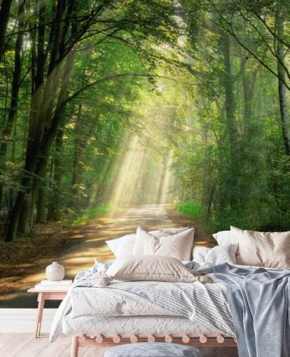 sunlit forest path wallpaper
