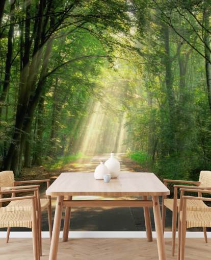 solbelyst skogsväg tapet