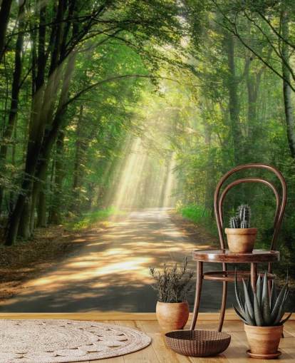 carta da parati soleggiata sentiero forestale carta da parati soleggiata sentiero forestale