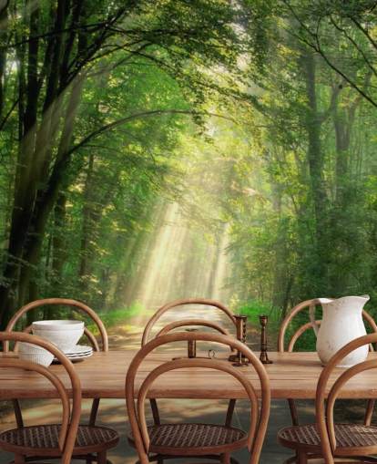 sunlit forest path wallpaper sunlit forest path wallpaper