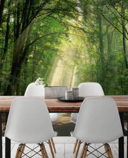 zonovergoten bospad behang