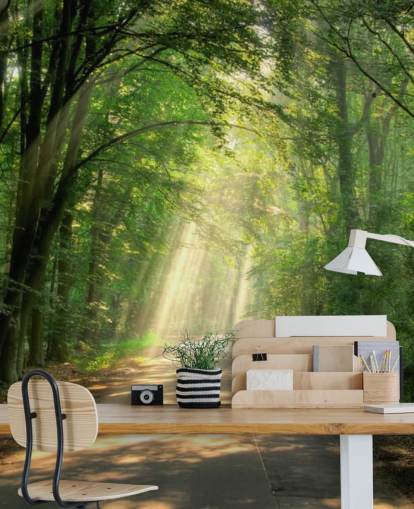 sunlit forest path wallpaper