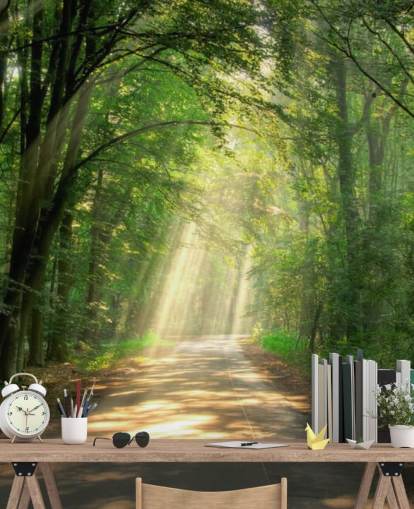 sunlit forest path wallpaper sunlit forest path wallpaper