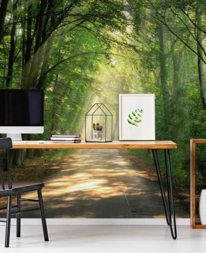 carta da parati soleggiata sentiero forestale carta da parati soleggiata sentiero forestale