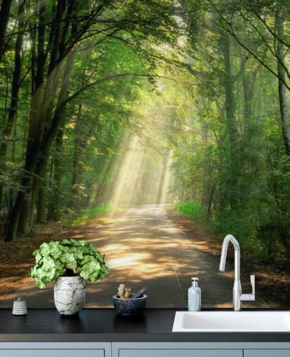 papel pintado camino bosque iluminado por el sol