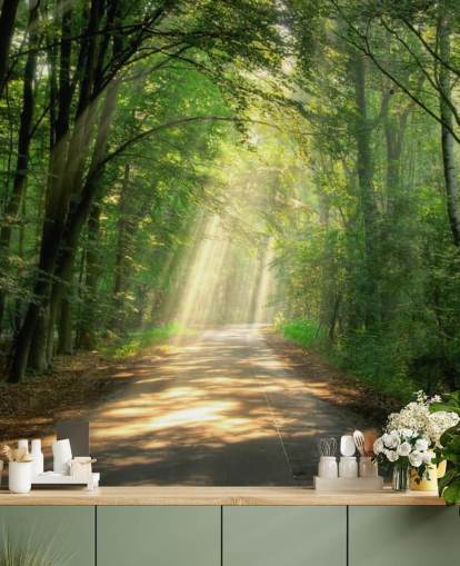 sunlit forest path wallpaper