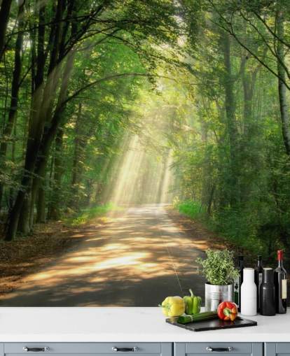 sonnenbeschienenen Waldweg Tapete