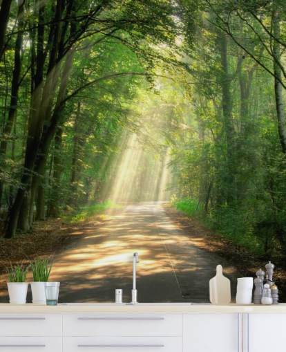 carta da parati soleggiata sentiero forestale