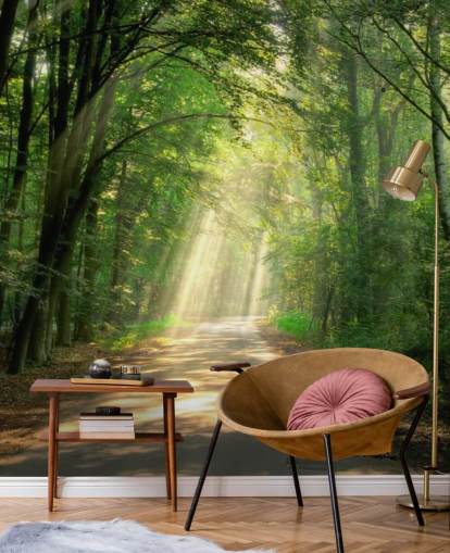 sunlit forest path wallpaper