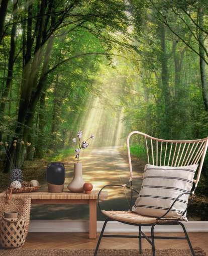 sunlit forest path wallpaper sunlit forest path wallpaper