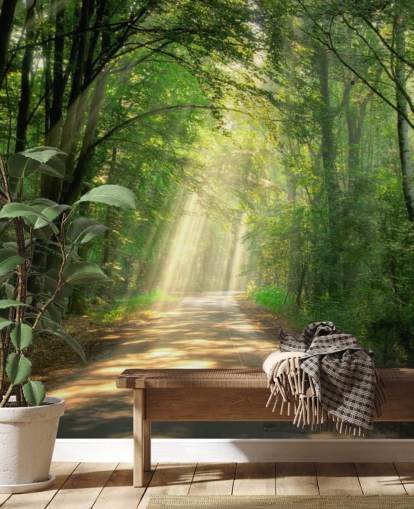 sunlit forest path wallpaper