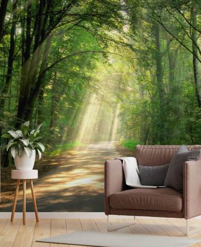 sonnenbeschienenen Waldweg Tapete