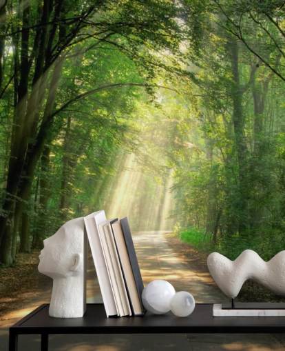 sunlit forest path wallpaper