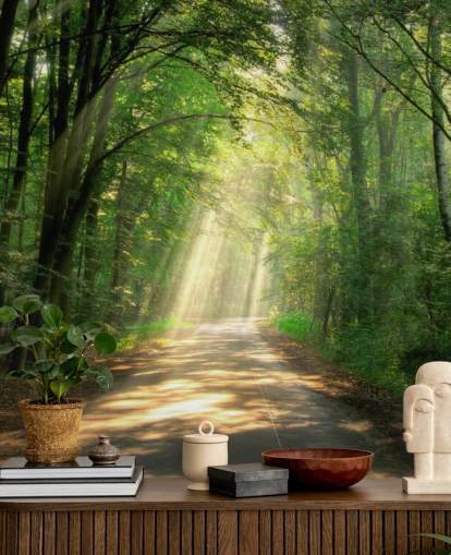 sonnenbeschienenen Waldweg Tapete