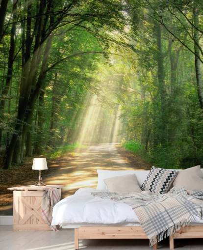 sonnenbeschienenen Waldweg Tapete sonnenbeschienenen Waldweg Tapete