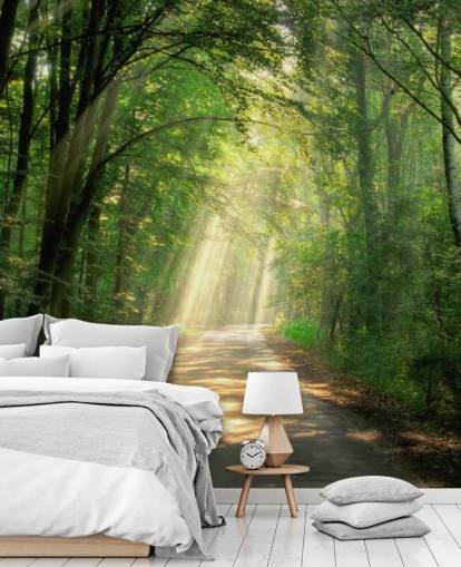 sunlit forest path wallpaper