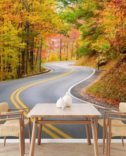 Road Running Through Autumn Wallpaper