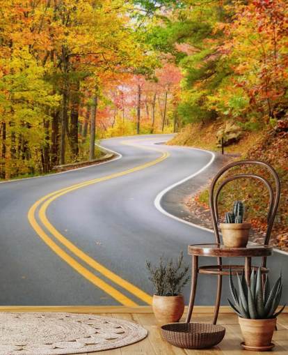 Road Running Through Autumn Wallpaper