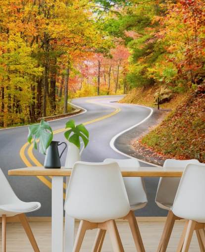 Road Running Through Autumn Wallpaper