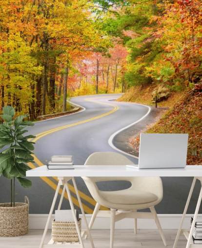 Fondo de pantalla de carretera corriendo por otoño