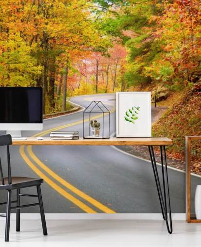 Fond d'écran Route qui traverse l'automne