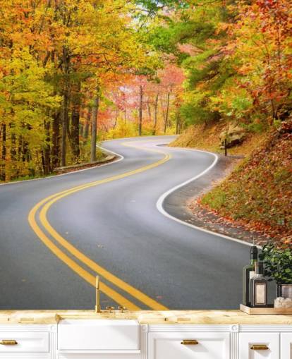 Carta da parati stradale che attraversa l'autunno